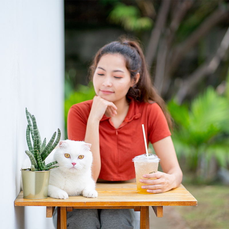 与赛尔宠共度的爱宠日常