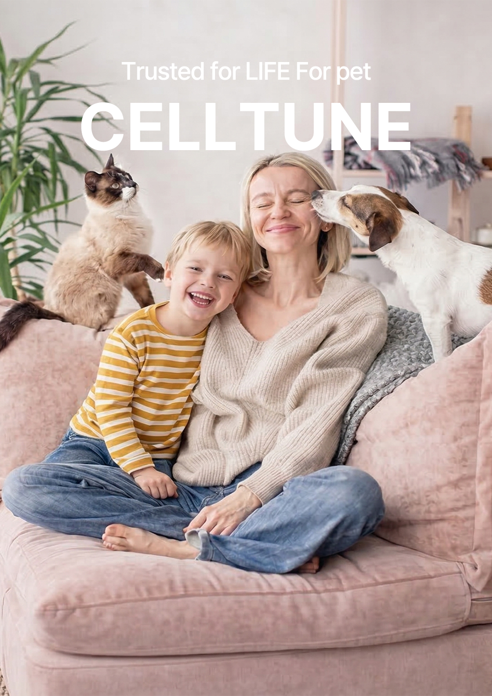 Download the official Celltune Labs company profile and business introduction