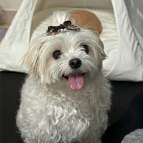 ��ƪ ���� ������ �޿� �� �ϻ��� Ȱ���� ã�� 14�� �ݷ��� ������ ���