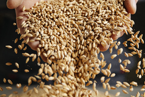 ��ƪ ���� �ݷ����� �������� ��ȭ ������ ���� Ȯ��