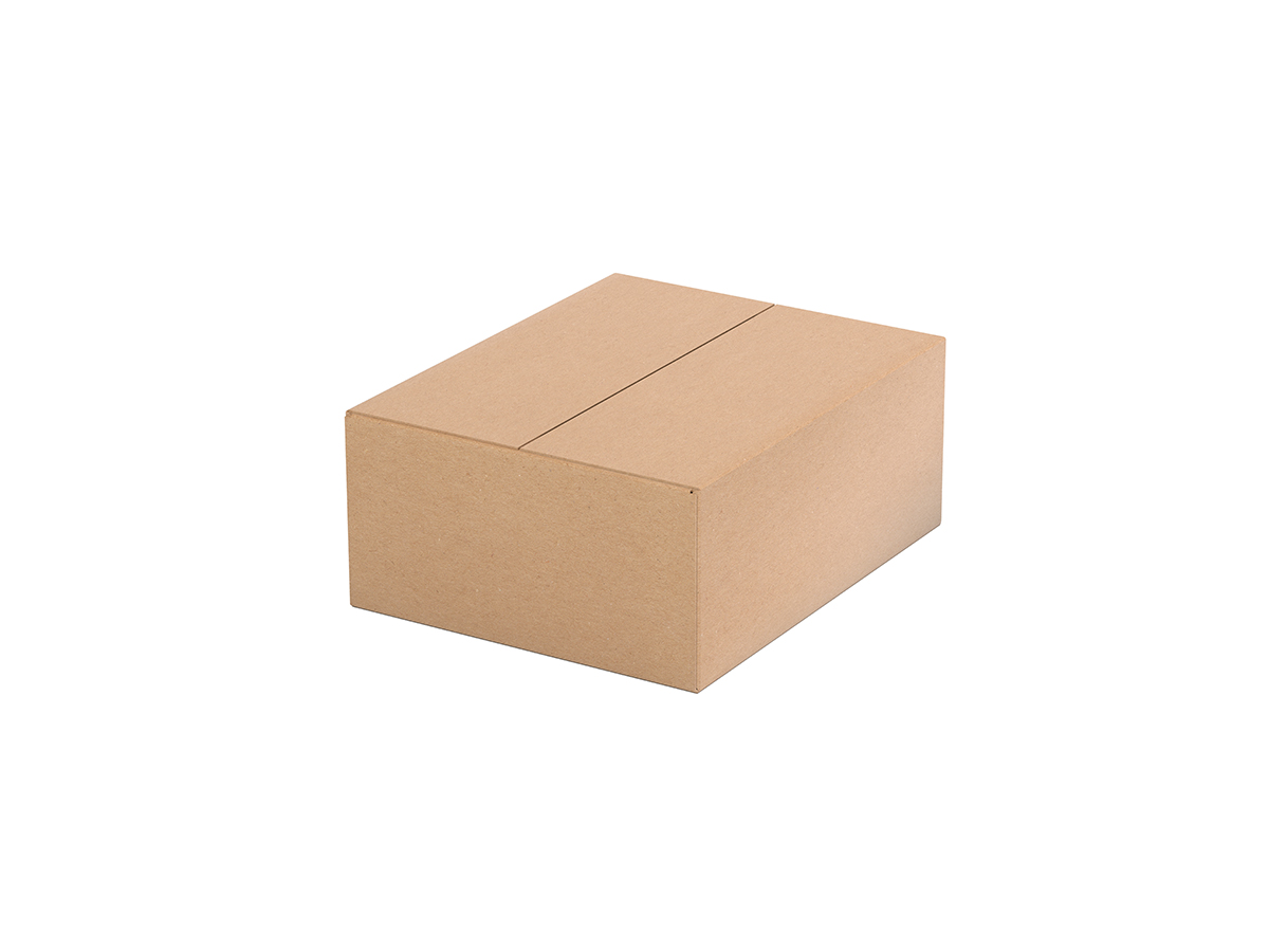 Celltune Labs durable master carton containing 12 units for secure B2B export and wholesale transport