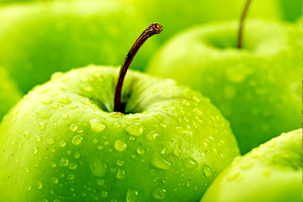 ��ƪ ���� �ݷ����� �������� ������ ���� 11�� ���� Ȯ��