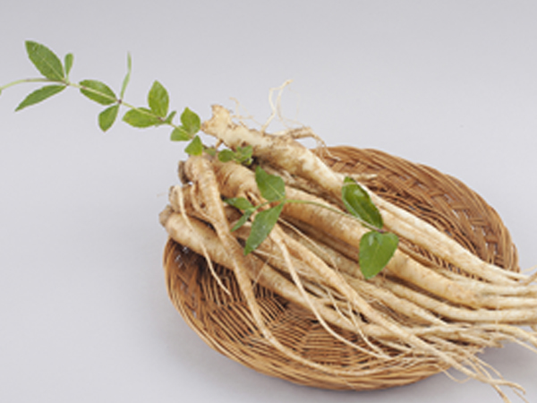 ��ƪ ���� ����� ���� - ������