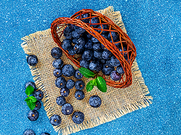 ��ƪ ���� ����� ���� - ������