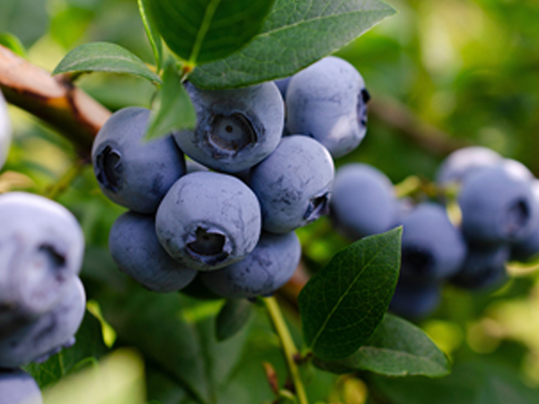 ��ƪ ���� ����� ���� - ���纣��