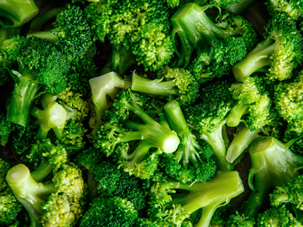 ��ƪ ���� ����� ���� - ����ݸ� ����