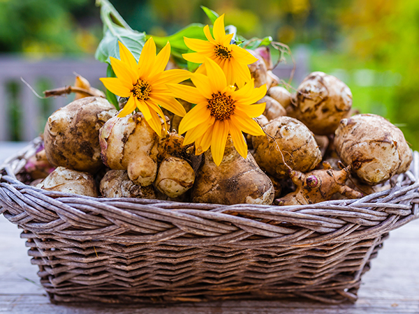 ��ƪ ���� ����� ���� - ��������