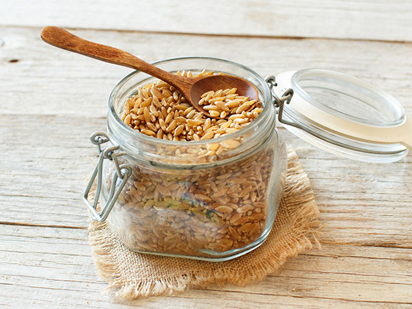 ��ƪ ���� ����� ���� - ī��Ʈ��