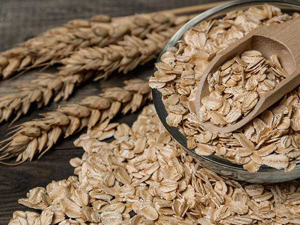 ��ƪ ���� ����� ���� - ��Ʈ��