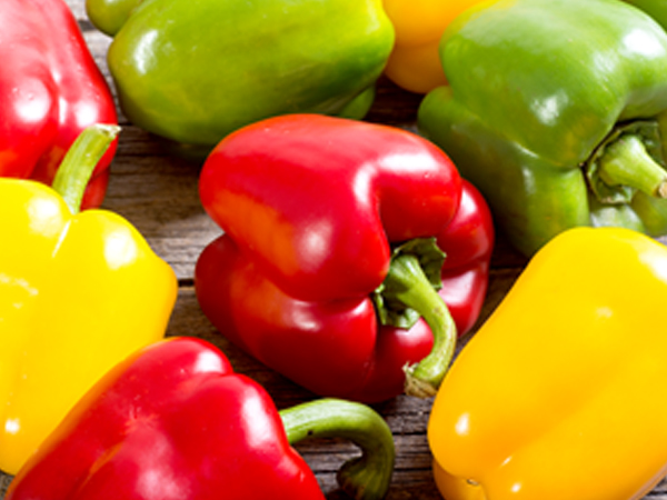 ��ƪ ���� ����� ���� - ������ī