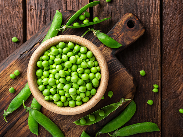 ��ƪ ���� ����� ���� - �ϵ���