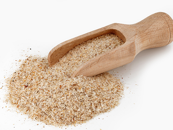 ��ƪ ���� ����� ���� - ��������