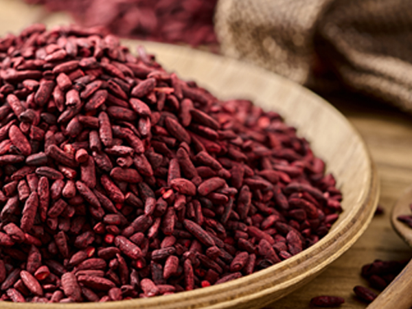 ��ƪ ���� ����� ���� - ȫ����