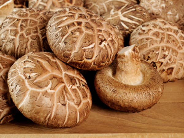 ��ƪ ���� ����� ��ȿ ���� - ǥ������