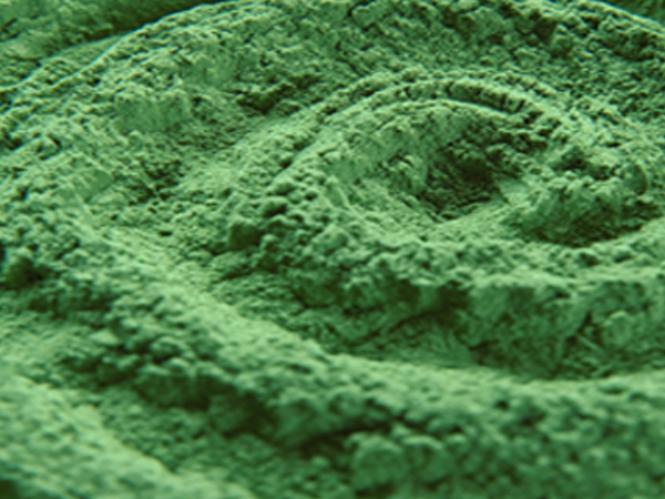 ��ƪ ���� ����� ��ȿ ���� - ���Ƿ긮��