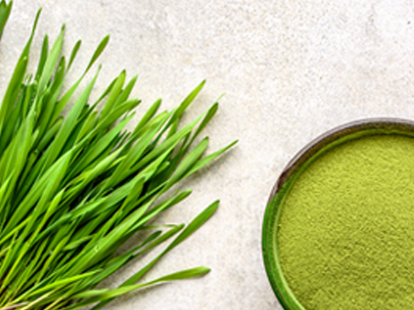 ��ƪ ���� ����� ���� - �н�