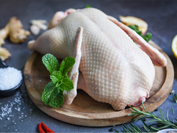 ��ƪ ���� �����̾� �ܹ��� ���� - ��������