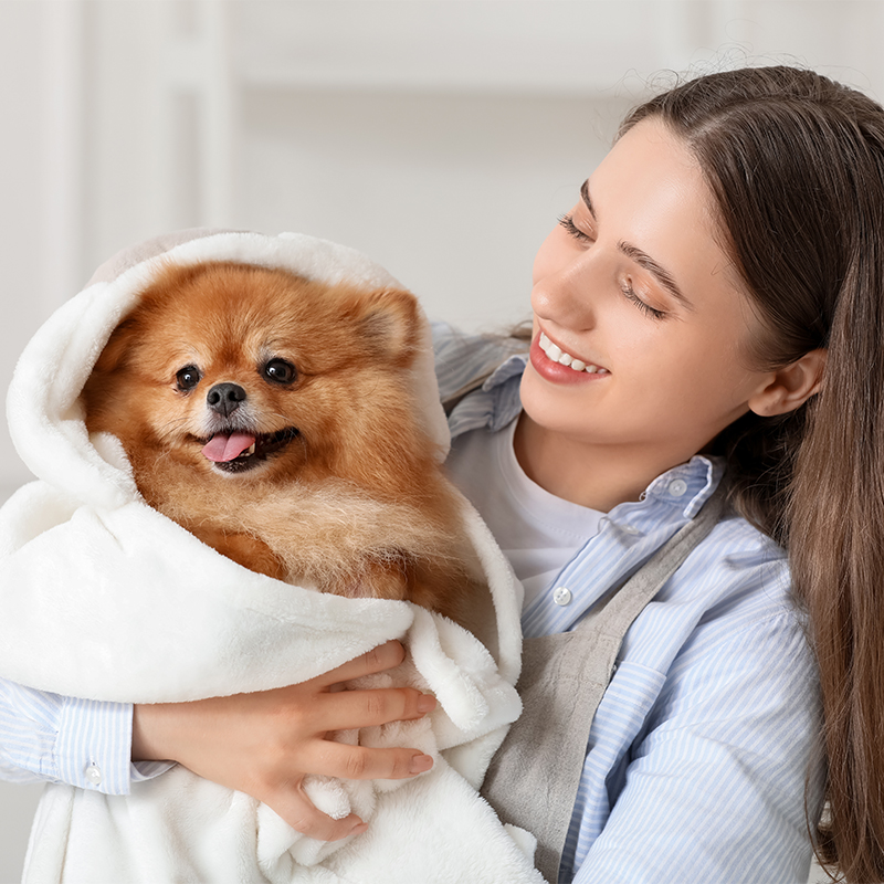 ��ƪ ������ �Բ� �ǰ��� �ϻ��� ������ �ݷ�����