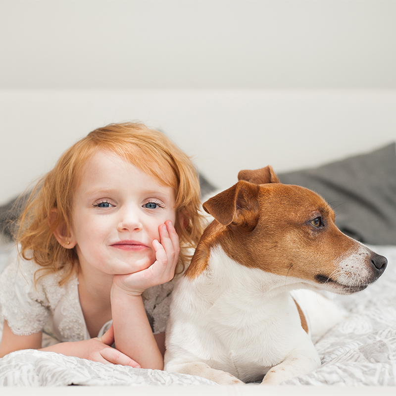 ��ƪ ������ �Բ� �ǰ��� �ϻ��� ������ �ݷ�����