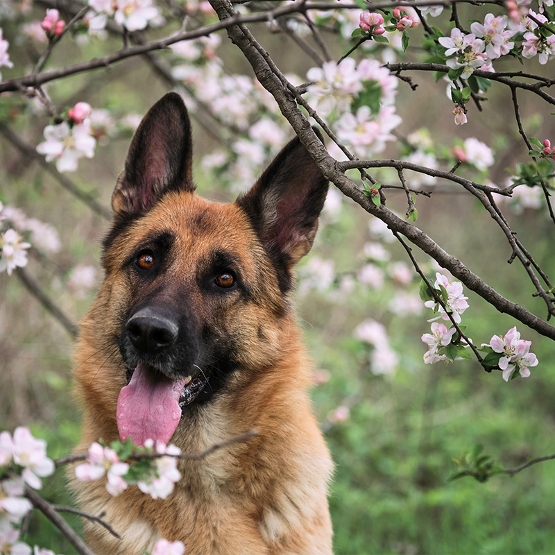 ��ƪ ������ �Բ��ϴ� ��������� ���� ��ġ�� �ݷ�����