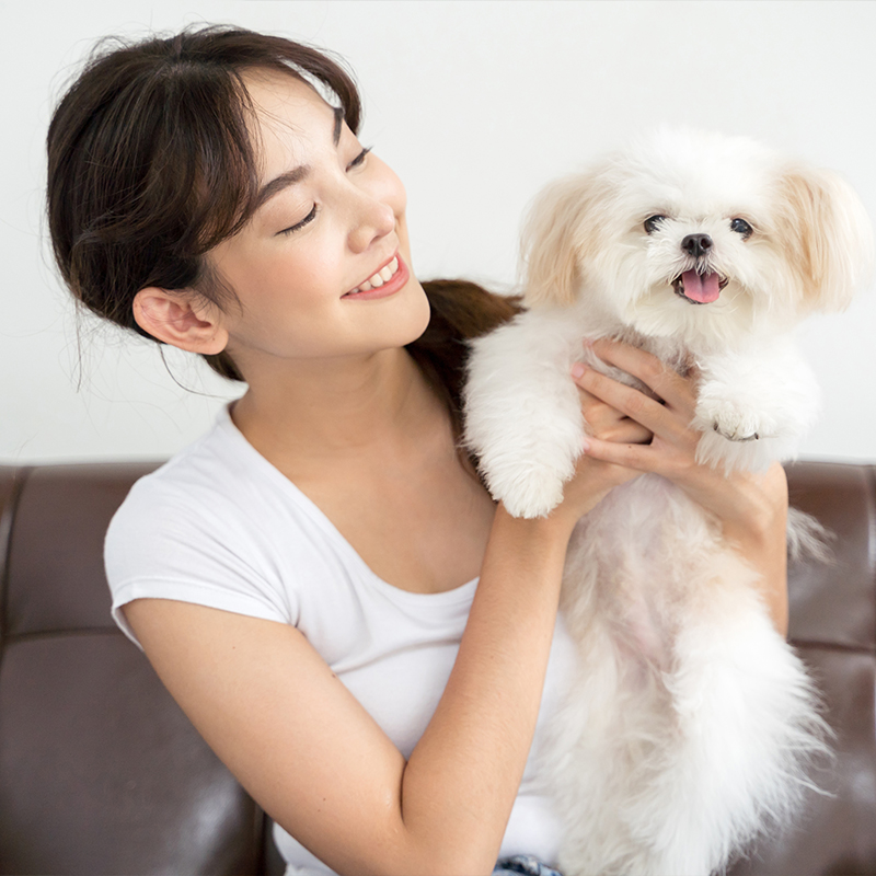 ��ƪ ������ �Բ��ϴ� ��������� ���� ��ġ�� �ݷ�����