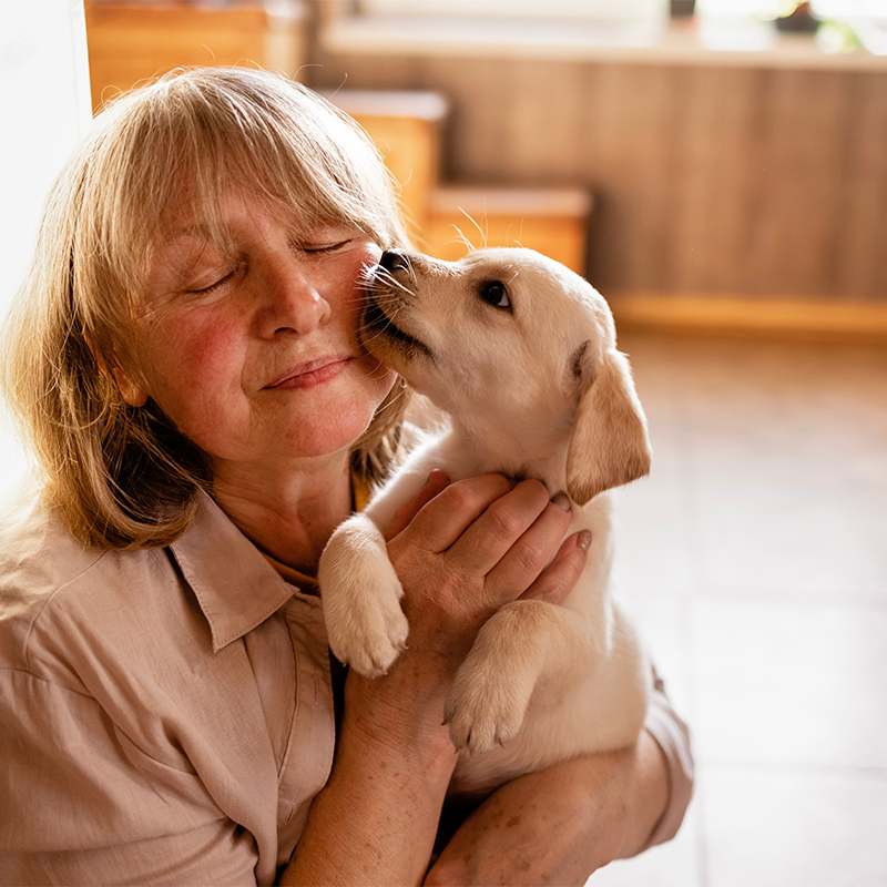 ��ƪ ���� �������� �Բ� ��ſ� �ϻ��� ������ �ݷ�����