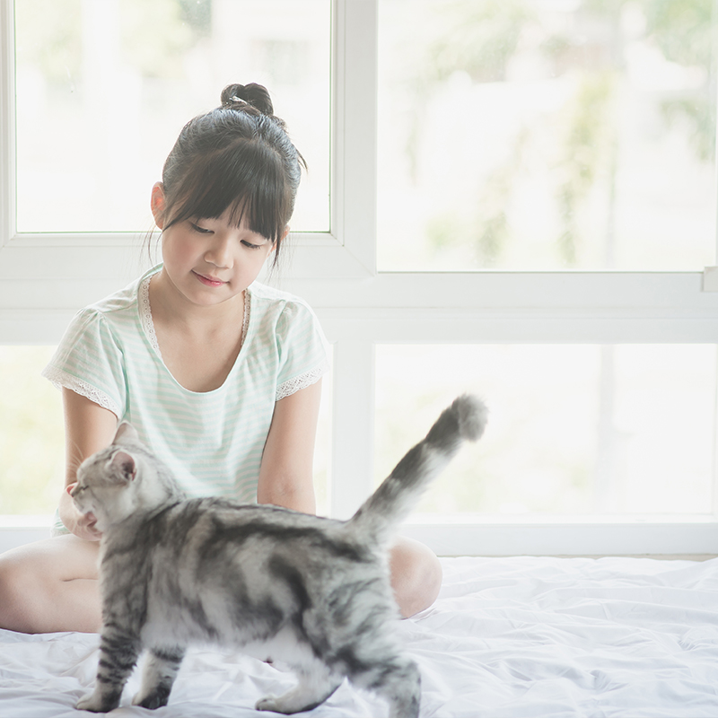 ��ƪ ������ �Բ� �ǰ��� �ϻ��� ������ �ݷ�����