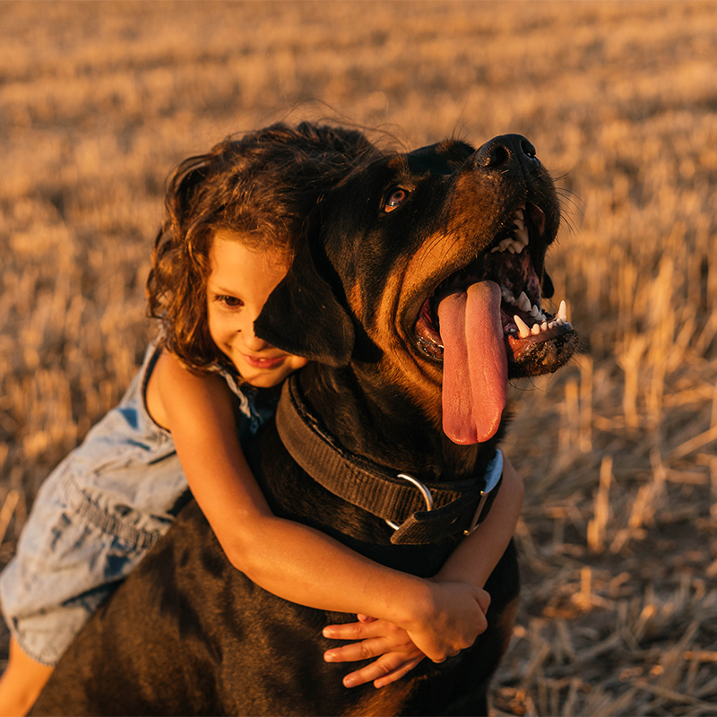 ��ƪ ������ Ȱ���� ����� �����ִ� �ູ�� �ݷ�����