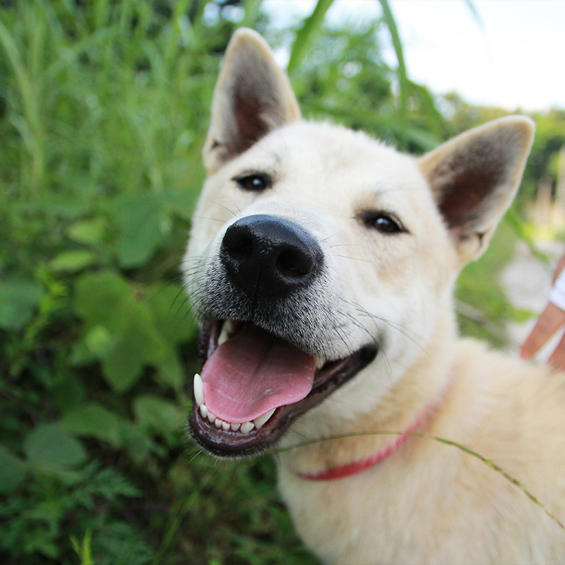 ��ƪ ������ �Բ��ϴ� ��������� ���� ��ġ�� �ݷ�����