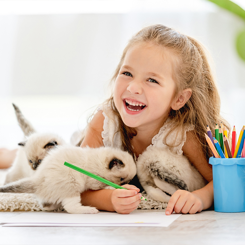 ��ƪ ���� �������� �Բ� ��ſ� �ϻ��� ������ �ݷ�����