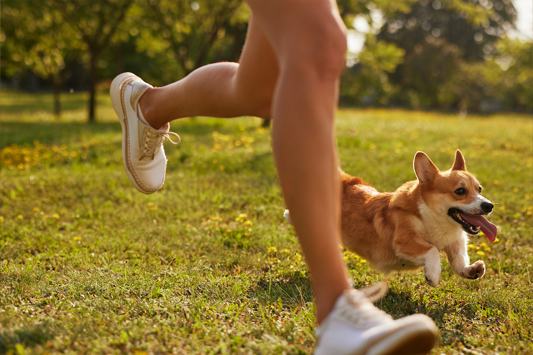 ��ƪ ������ �Բ� �ǰ��� �ϻ��� ������ �ݷ�����