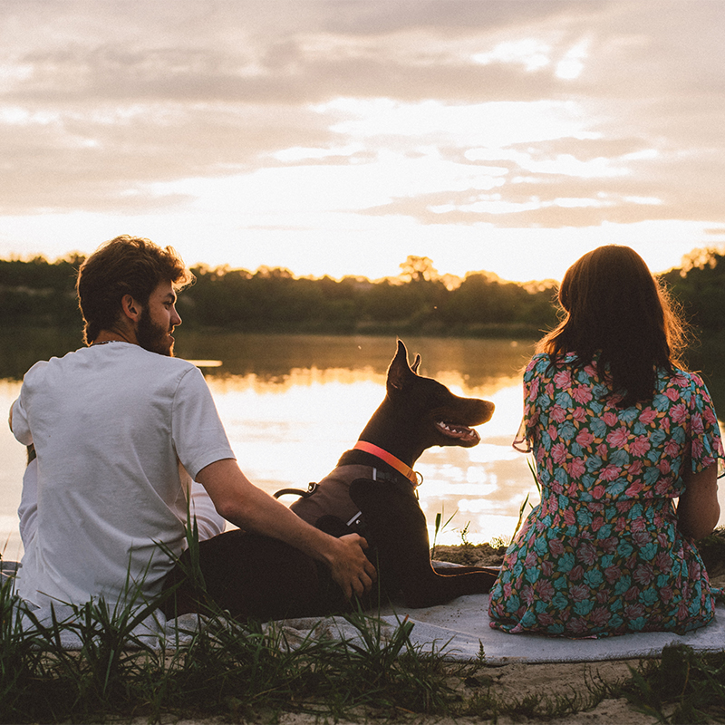 ��ƪ ������ �Բ��ϴ� ��������� ���� ��ġ�� �ݷ�����