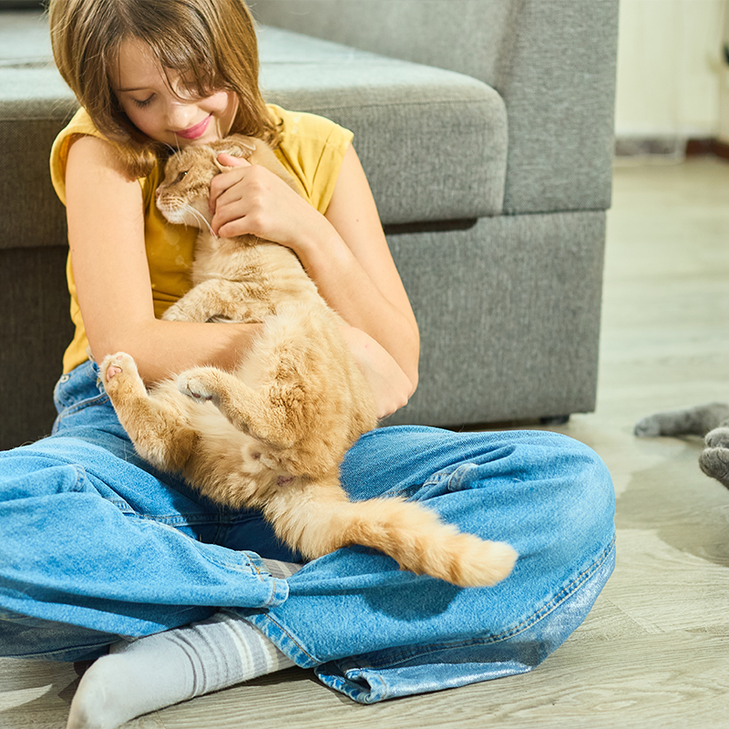 ��ƪ ���� �������� �Բ� ��ſ� �ϻ��� ������ �ݷ�����