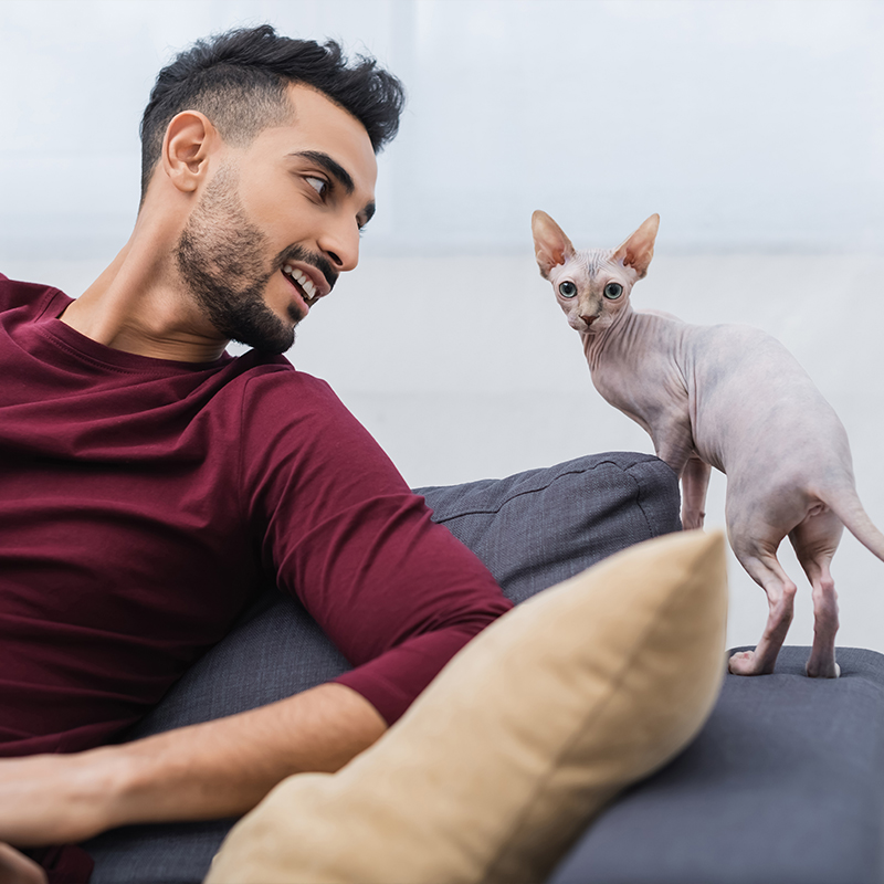 ��ƪ ������ �Բ� �ǰ��� �ϻ��� ������ �ݷ�����