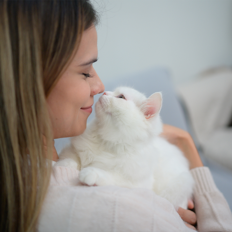 ��ƪ ������ �Բ��ϴ� ��������� ���� ��ġ�� �ݷ�����