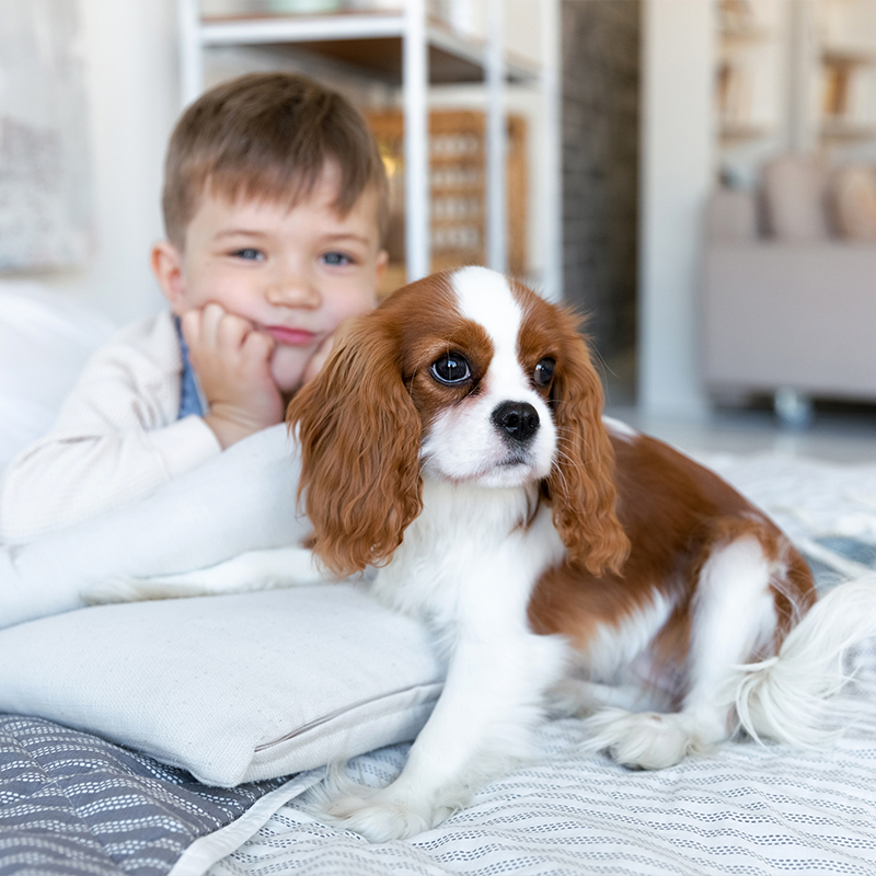 ��ƪ ������ �Բ� �ǰ��� �ϻ��� ������ �ݷ�����