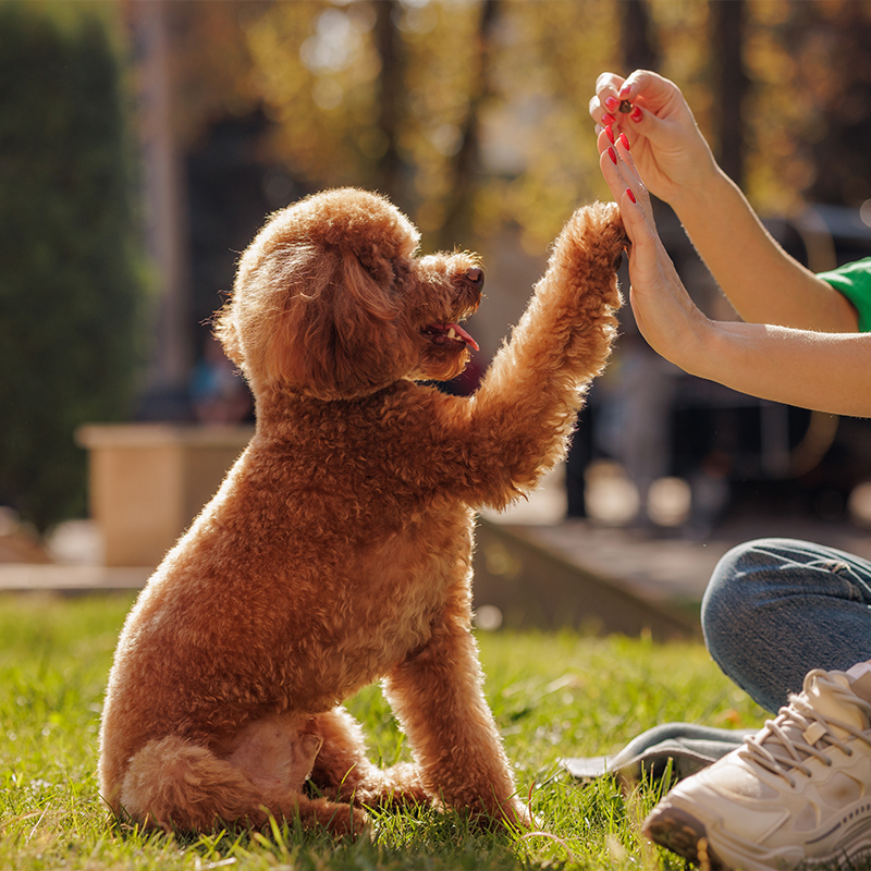 ��ƪ ���� �������� �Բ� ��ſ� �ϻ��� ������ �ݷ�����